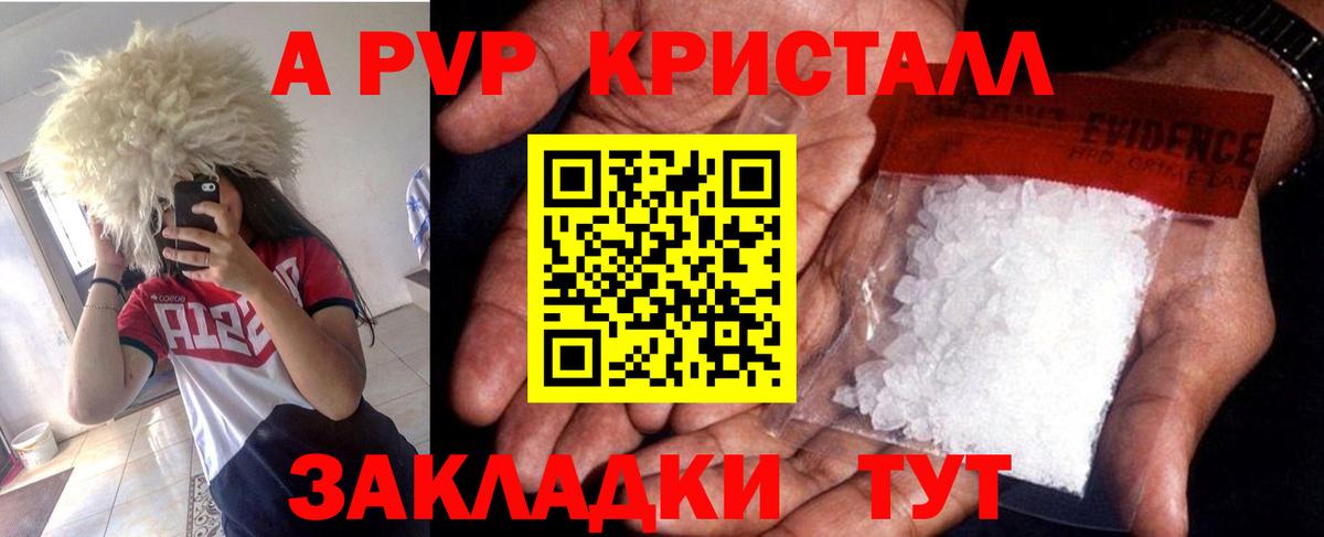 Альфа ПВП СК КРИС Елизово